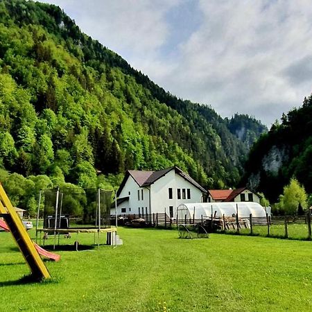 Casa Petruta Dambovicioara Hotel Podu Dimbovitei Bagian luar foto