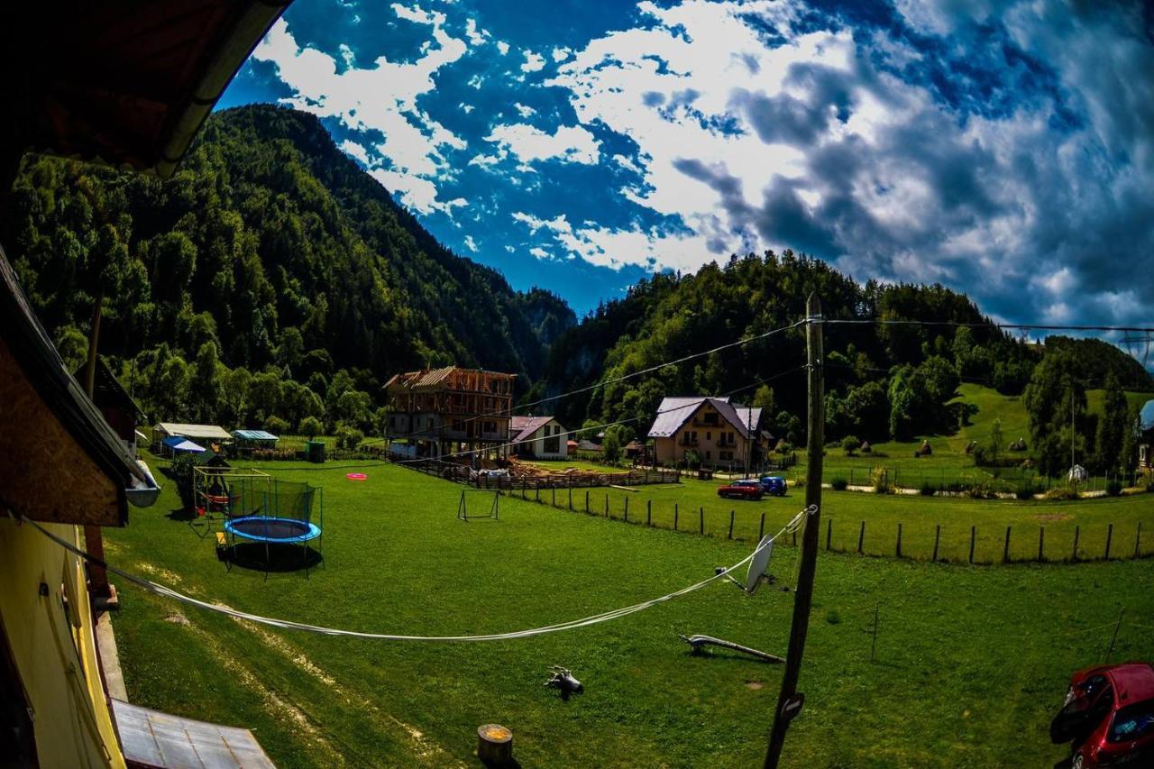 Casa Petruta Dambovicioara Hotel Podu Dimbovitei Bagian luar foto