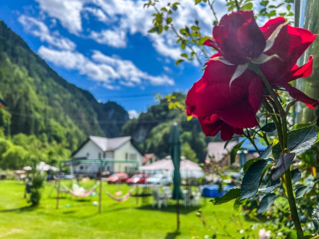 Casa Petruta Dambovicioara Hotel Podu Dimbovitei Bagian luar foto