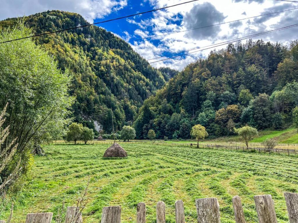 Casa Petruta Dambovicioara Hotel Podu Dimbovitei Bagian luar foto