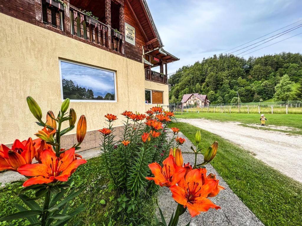 Casa Petruta Dambovicioara Hotel Podu Dimbovitei Bagian luar foto
