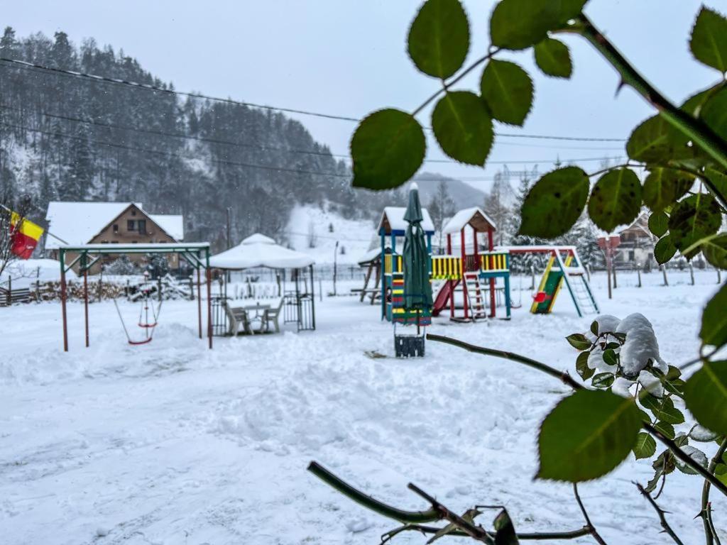 Casa Petruta Dambovicioara Hotel Podu Dimbovitei Bagian luar foto