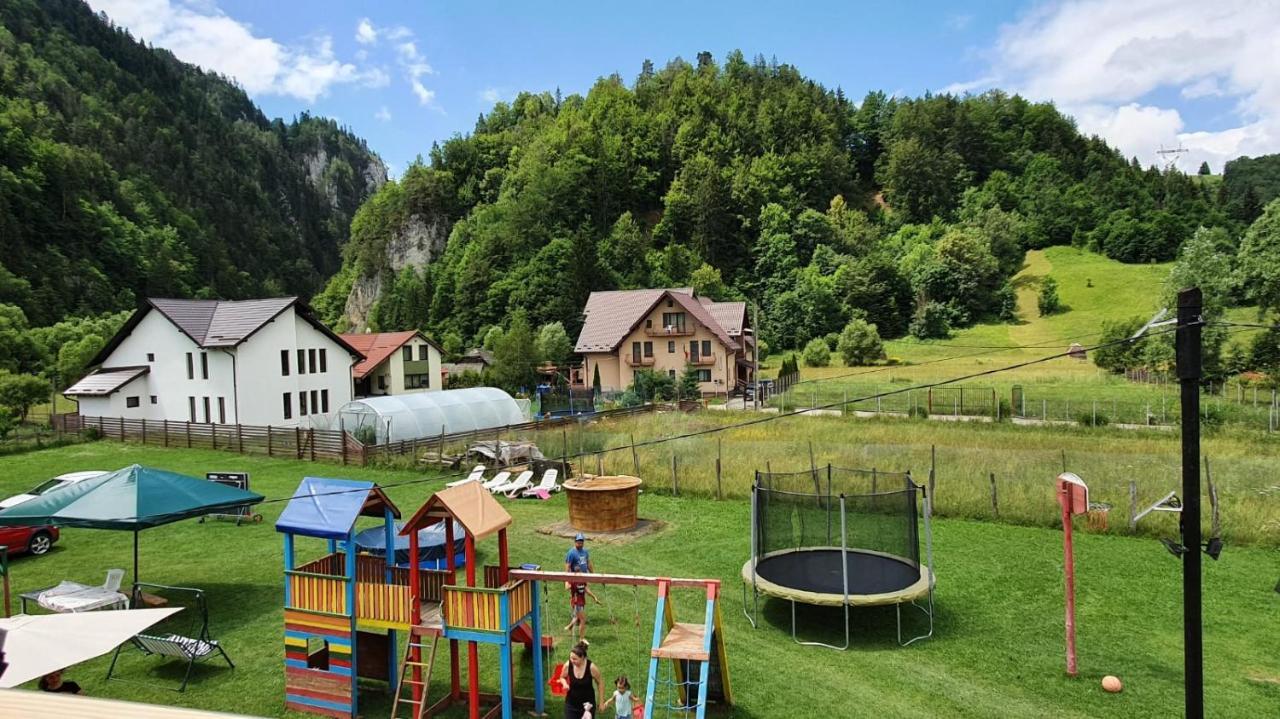 Casa Petruta Dambovicioara Hotel Podu Dimbovitei Bagian luar foto
