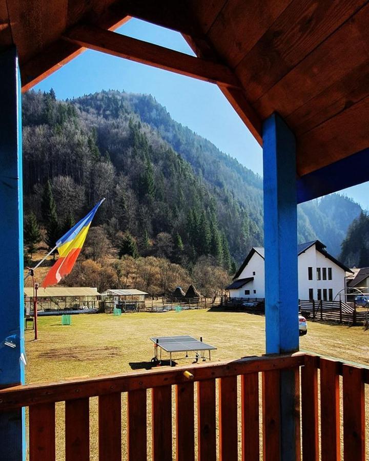 Casa Petruta Dambovicioara Hotel Podu Dimbovitei Bagian luar foto