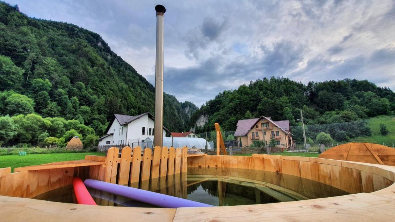 Casa Petruta Dambovicioara Hotel Podu Dimbovitei Bagian luar foto