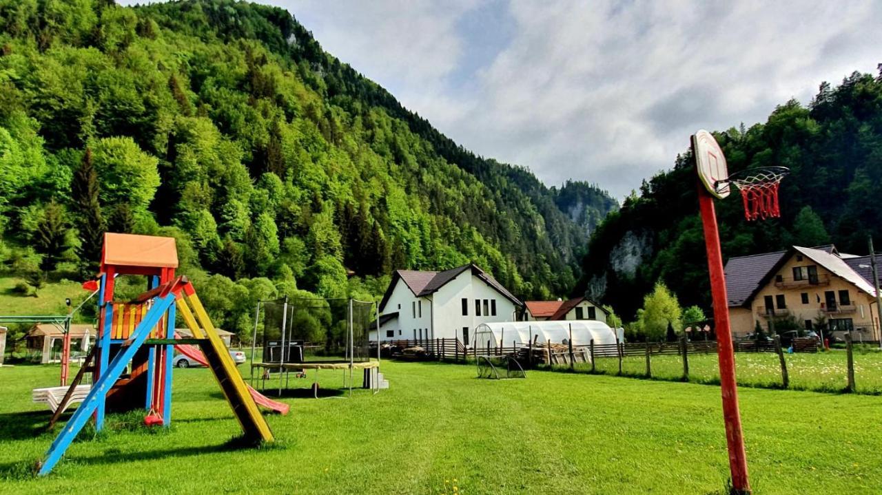 Casa Petruta Dambovicioara Hotel Podu Dimbovitei Bagian luar foto