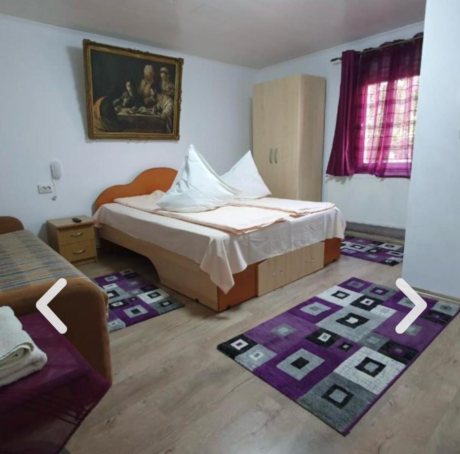 Casa Petruta Dambovicioara Hotel Podu Dimbovitei Bagian luar foto